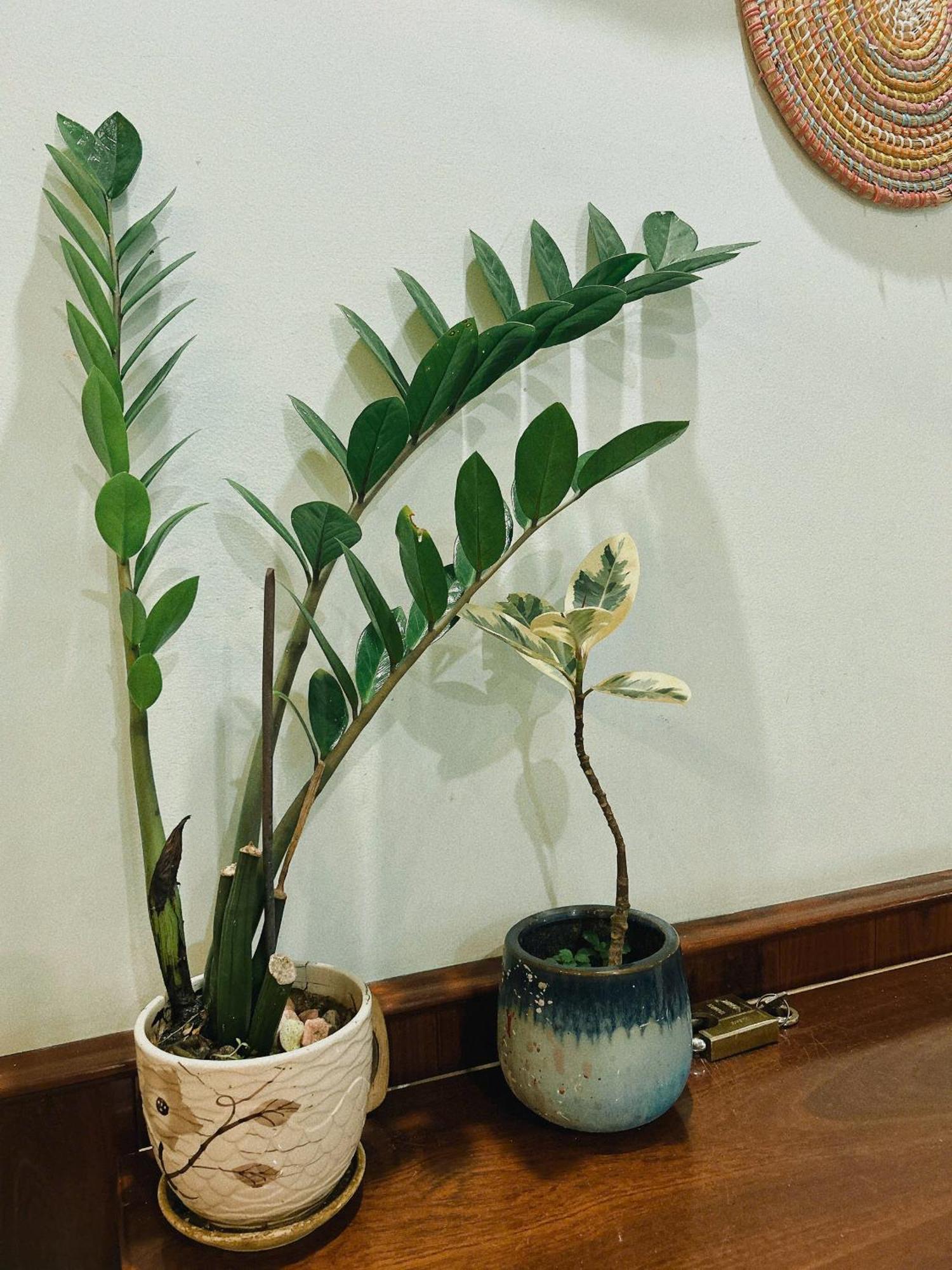 Nang Homestay Tuy Hoa Exterior photo
